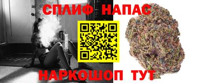 тгк Боровичи