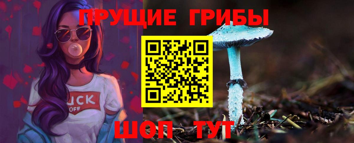 сколько стоит  Вход с VPN  Владикавказ  Галлюциногенные грибы мицелий  Псилоцибиновые грибы MAGIC MUSHROOMS 